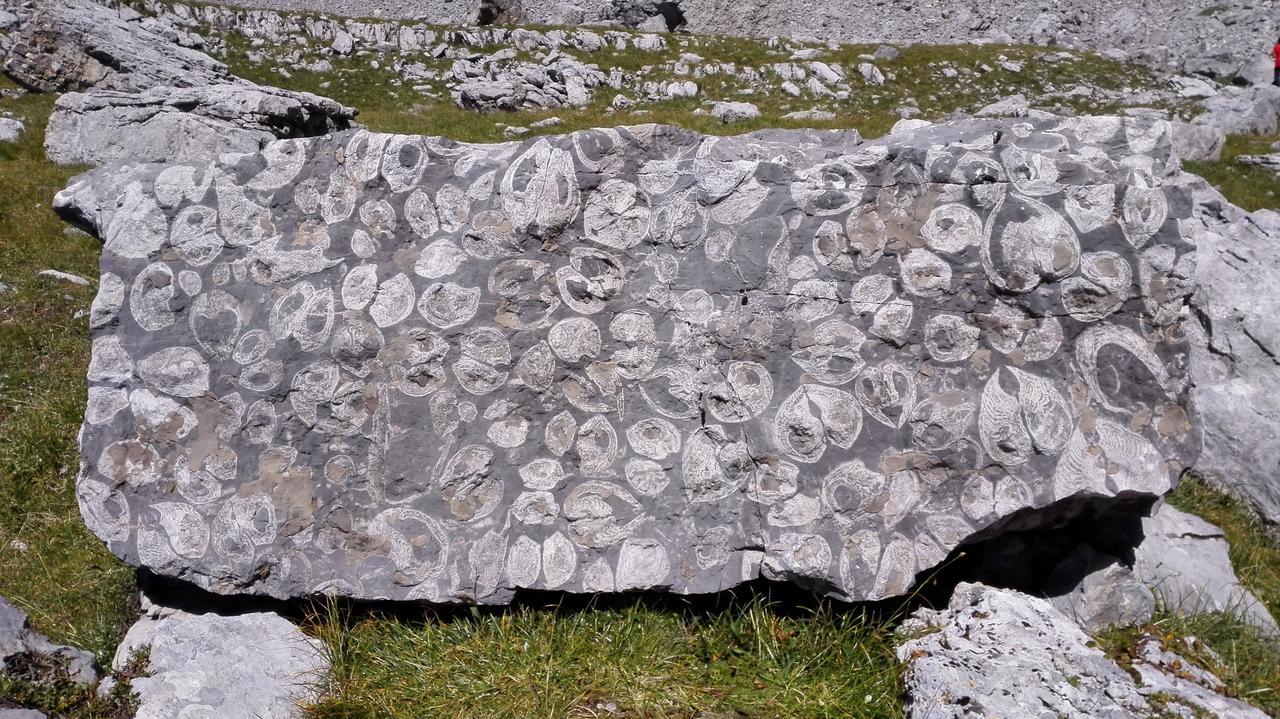 Appartamento Residenza Caola Sant'Antonio Mavignola Madonna Esterno foto